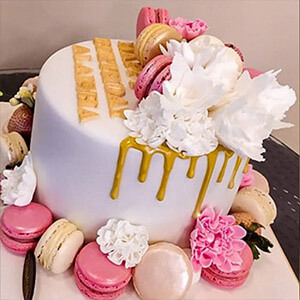 Macaron Special Drip Cake