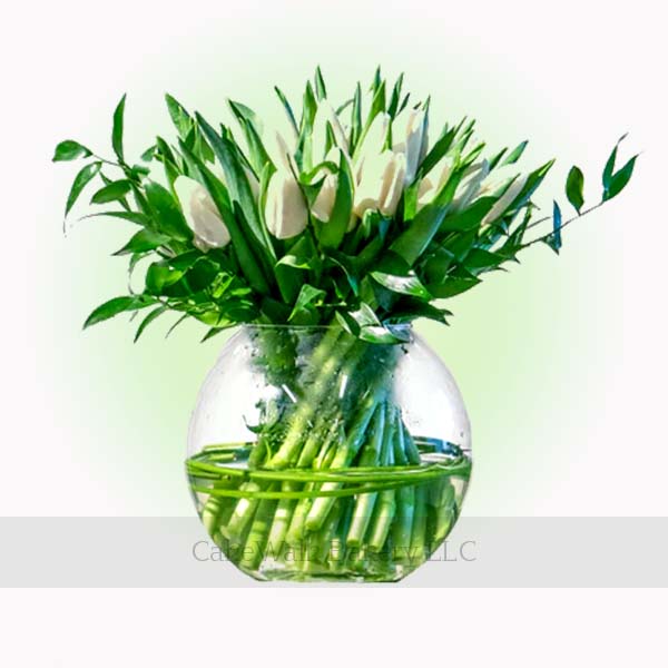 20 White Tulips in a glass vase