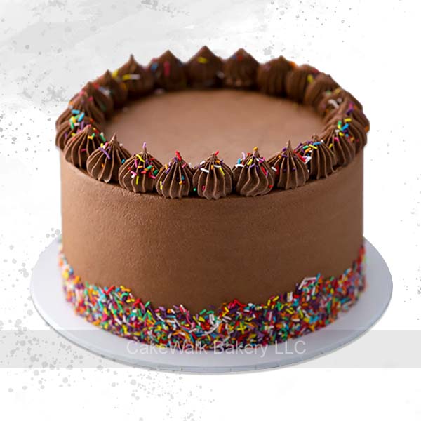 Rainbow  Sprinkles Chocolate Cake