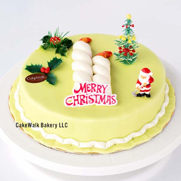 NOVELTY PLUM CAKE-01