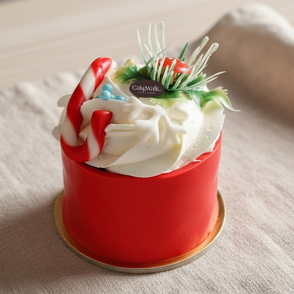 Mini Festive Novelty Plum Cake | Premium Dry Fruit Cake