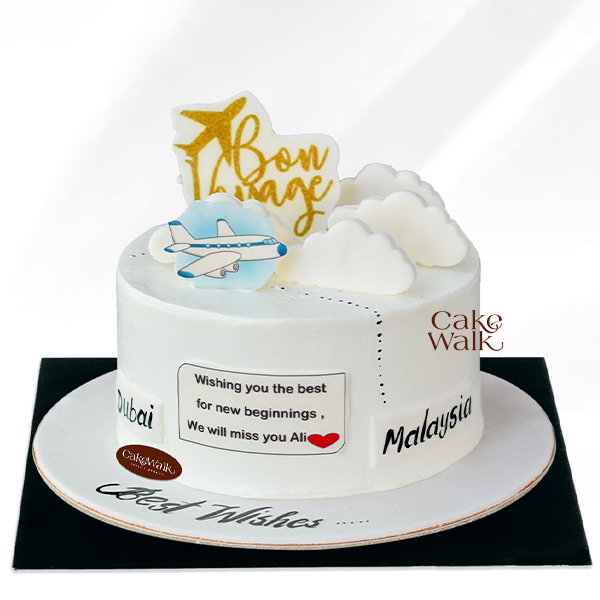 Travel Plane Cake